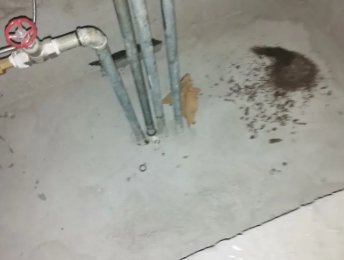 成华卫生间测漏水价格明细